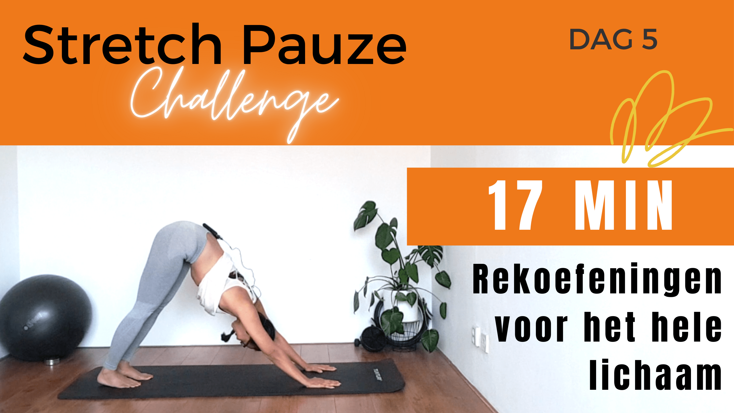 Rekoefeningen voor het hele lichaam (Pilates Stretch Pauze Challenge)
