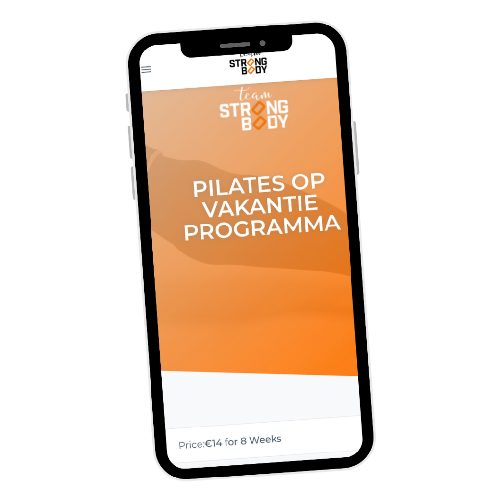 POV programma